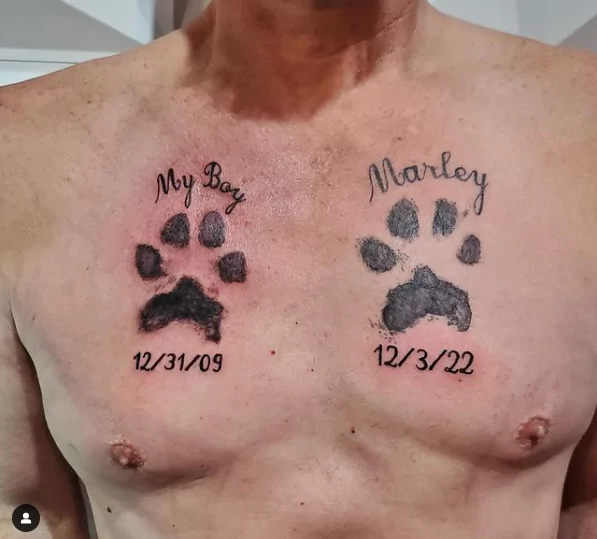 Koiran tassu tatuointi rinnassa