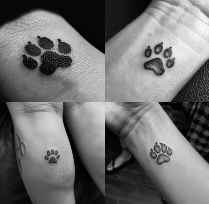 koiran tassu tatuointi